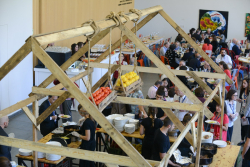 Foreign Postdocs, at Home at Weizmann