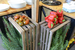 Foreign Postdocs, at Home at Weizmann