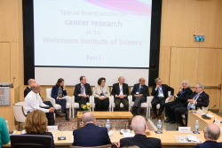 International Board Meeting – Special session on cancer research