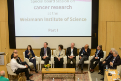 International Board Meeting – Special session on cancer research