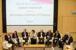 International Board Meeting – Special session on cancer research
