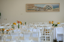 International Board Meeting – Special session on cancer research