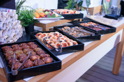 International Board Meeting – Special session on cancer research