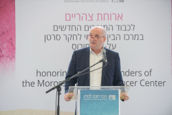 International Board Meeting – Special session on cancer research