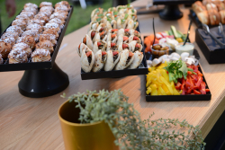 Ceremony for the conferment of the Degree of Doctor of Philosophy honoris causa