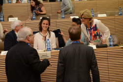 International Board meeting - Session IV: Combating Alzheimer's Disease by Developing Novel Immune-Therapeutics; Special Scientific Session in honor of the Adelis Foundation