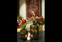 Executive Board Reception