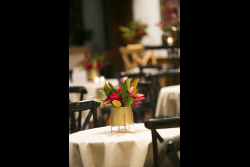 Executive Board Reception