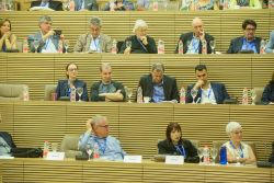 International Board - Session III: Open session