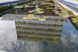 Dedication ceremony of the renovated Stone Administration Building