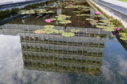 Dedication ceremony of the renovated Stone Administration Building