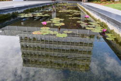 Dedication ceremony of the renovated Stone Administration Building