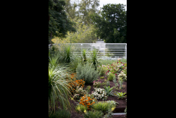 Dedication ceremony of the renovated Stone Administration Building