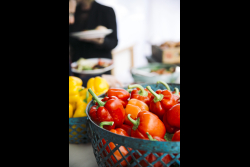 Luncheon honoring Dr. Ellen and Harvey Knell for the establishment of the Knell Family Center for Microbiology