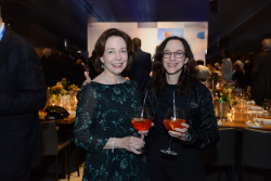 Dinner marking the establishment of the National Institute for Advanced Teaching of Mathematics and the Sciences