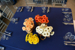 International Board meeting - Session IV, part 1: Special scientific session - The Revolution is Here: How Technology and Data are Transforming Science