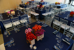 International Board meeting - Session IV, part 1: Special scientific session - The Revolution is Here: How Technology and Data are Transforming Science