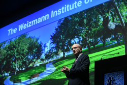 International Board meeting - Session II: Festive Open Session