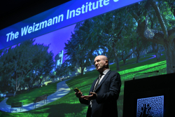 International Board meeting - Session II: Festive Open Session