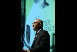 International Board meeting - Session II: Festive Open Session