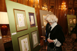 Dwek Exhibition May3