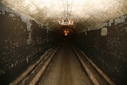 Chateau Mouton Rothschild May6