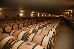 Chateau Mouton Rothschild May6