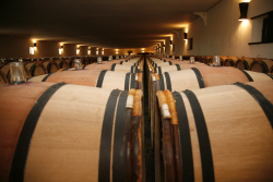 Chateau Mouton Rothschild May6