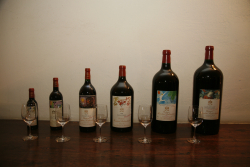 Chateau Mouton Rothschild May6