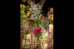 Opening Event of the 73 Annual General Meeting of the International