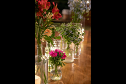 Opening Event of the 73 Annual General Meeting of the International