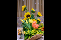 Ceremony for the conferment of the Degree of Doctor of Philosophy honoris causa