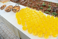 Inauguration of The David Lopatie Institute of Comparative Medicine