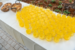 Inauguration of The David Lopatie Institute of Comparative Medicine