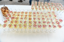 Inauguration of The David Lopatie Institute of Comparative Medicine