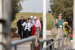 Concluding dinner - Bravdo Winery