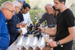 Concluding dinner - Bravdo Winery