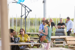 Concluding dinner - Bravdo Winery