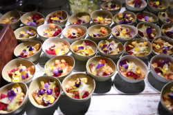 Opening Gala of the 74th Annual General Meeting of the International Board