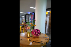 Communities coming together: A celebration of the Weizmann global family, concluding the 74th Annual General Meeting of the International Board