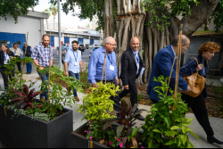 A lab is born: a spotlight on the process of starting a new research group at the Weizmann Institute