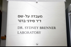 Sydney Brenner