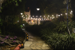 Executive Board Reception