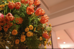 Executive Board Reception