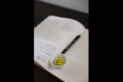 Private reception for Doctor of Philosophy honoris causa recipients