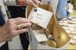 Day Trip to the Western Negev