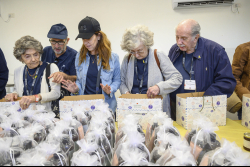 Day Trip to the Western Negev