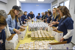 Day Trip to the Western Negev