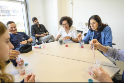 Day Trip to the Western Negev