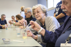 Day Trip to the Western Negev